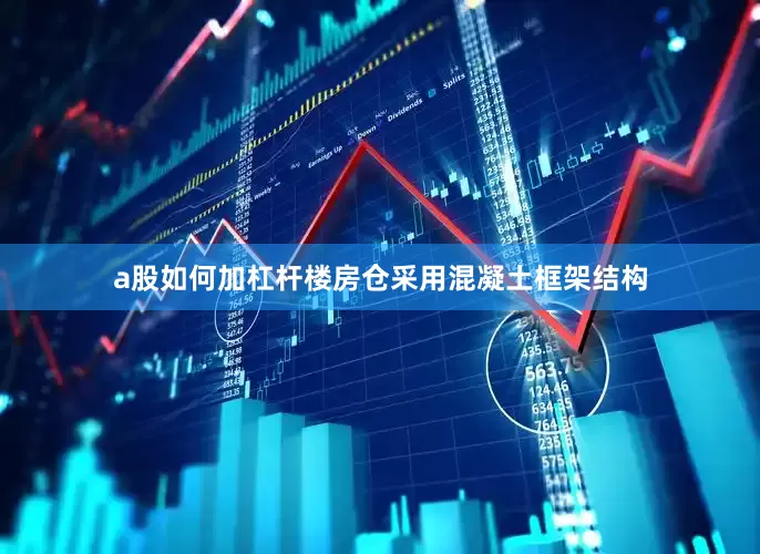 a股如何加杠杆楼房仓采用混凝土框架结构