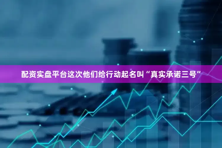 配资实盘平台这次他们给行动起名叫“真实承诺三号”
