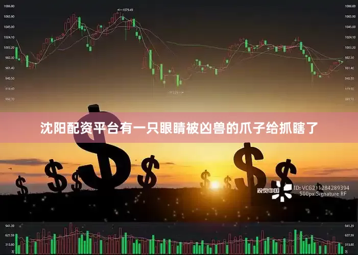 沈阳配资平台有一只眼睛被凶兽的爪子给抓瞎了